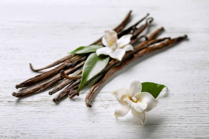 Exfoliating Body Scrub