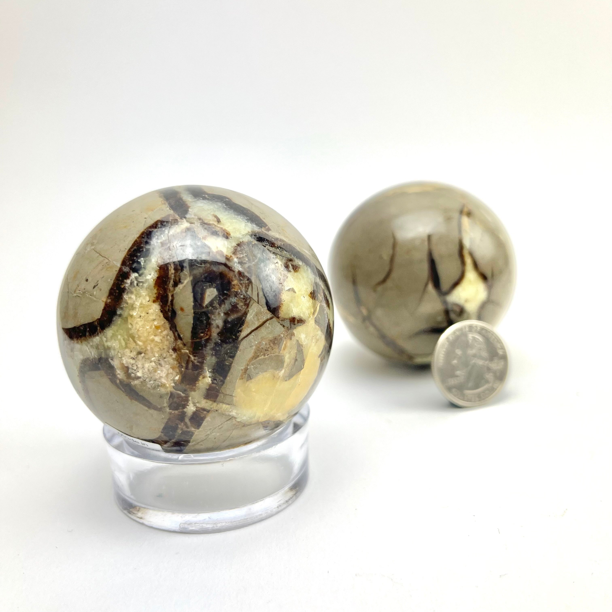 Septarian "Dragon Stone" Sphere | 2-3" | Madagascar Septarian "Dragon Stone" Sphere | 2-3" | Madagascar