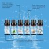 JUE FISH Scented Home Fragrance Essential Oil Set – 6 × 10 mL