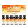 JAKEHOE Autumn Essential Oil Set | 6-Piece Home Fragrance