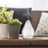 Diffuser Tulip Glass