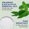 Dr Teal's Epsom Salt Magnesium Soak, Relax & Relief with Eucalyptus & Spearmint, 3 lbs
