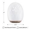Diffuser Meadow Ceramic