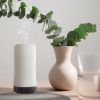 Diffuser Rosa Ceramic