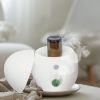 AIRBURST Waterless Essential Oil Diffuser
