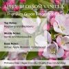 Luxury Reed Diffuser Refills – Elevate Your Space with Timeless Aromas