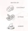 Allswell Reed Diffusers