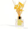 DEXIANG Reed Diffusers